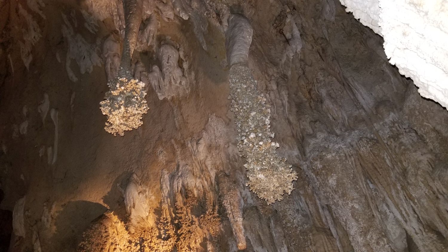 Carlsbad Caverns 